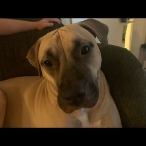 Meet your Posher, Talissa